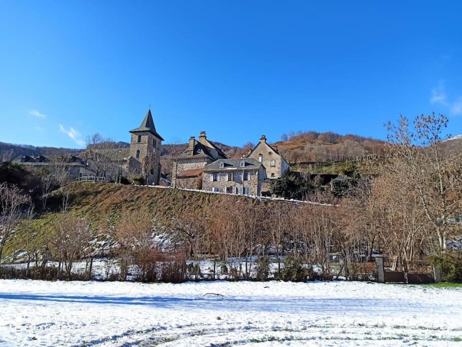 Maison Familiale Et Authentique Saint-Jacques-des-Blats Zewnętrze zdjęcie